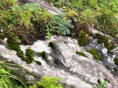 -终南山南五台景区