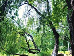 -人民公园(罗湖区)