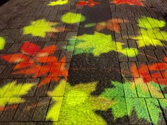 -猫的天空之城概念书店(杭州南宋御街店)