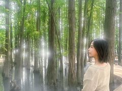 -东湖落雁景区