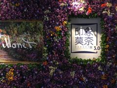 -印象莫奈时光映迹艺术展