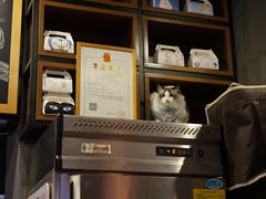 -咖法森林·咖啡  酒吧(天河店)