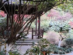 -杭州半山国家森林公园