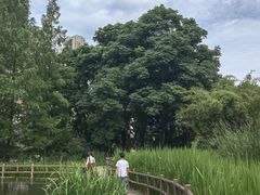 -成都市活水公园