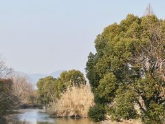 -良渚古城遗址公园