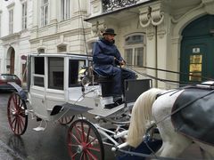 -斯蒂芬主教座堂(Stephansdom)