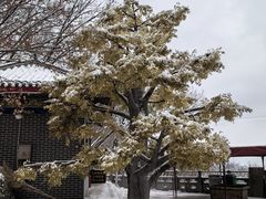 -九鼎铁刹山风景区