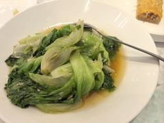 蚝油生菜-齐家花园大酒店(宝山店)