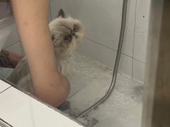 -comecome来吧宠物(奥克斯中心店)