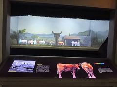 -台州博物馆