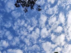 -羚羊峡古栈道森林公园