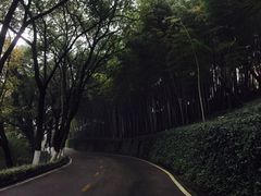 -上海市保健医疗中心(华东疗养院)