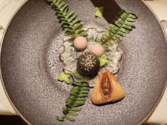 -叶叶菩提(太原别墅店)