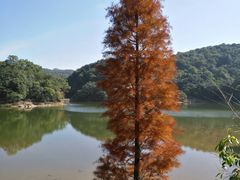 -广州市石门国家森林公园