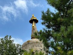 -青城公园