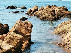 -青岛海滨风景区小青岛