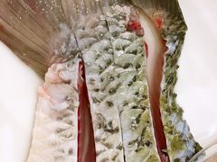 -正能量脆肉鲩火锅
