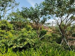-新加坡飞禽公园