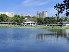 -荔湾湖公园