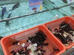 -渔民新村(番禺总店)