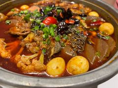 -眉州东坡·熊猫主题餐厅(枫蓝店)