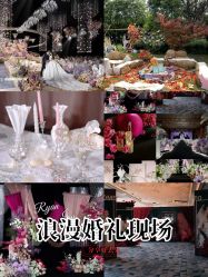 -DC大蔡婚礼策划(李公堤店)