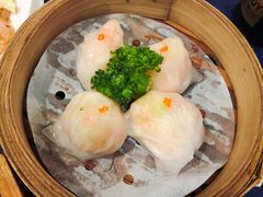 -金龙寨(龙城路店)