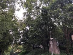 -鹦鹉寺公园