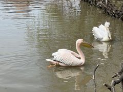 -上海野生动物园