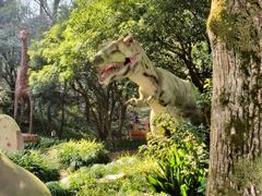 -杭州少年儿童公园