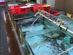 -寻味顺德·南记酒家·传统顺德菜·鱼生(广源路店)