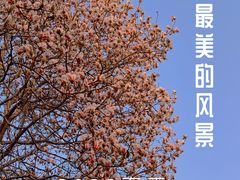 -永定门公园