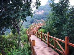 景点-大岭沟猕猴桃谷风景区