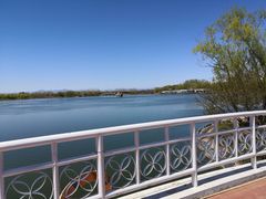 -大兴滨河森林公园