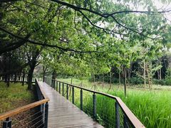 -昆山城市生态森林公园