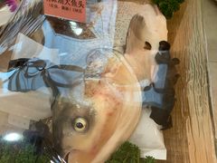 -明珠湖天鹅苑·农家菜馆