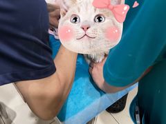 -美迦爱-牙专科·兔科·骨科诊疗中心(北苑店)