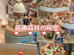 -日照海滨国家森林公园
