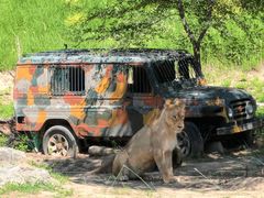 -北京野生动物园