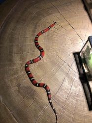 -酷嗒动物文化乐园(cutezoo西溪乐天城店)