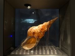 -中国湿地博物馆