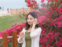 -玫瑰海岸文化旅游度假区