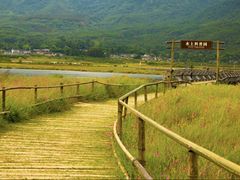 -腾冲北海湿地