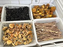 -山大王菌莊