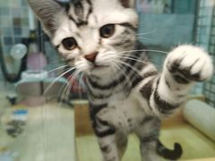 -唯美宠物生活馆(绿地国际生态城店)