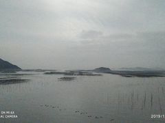 -北岐滩涂