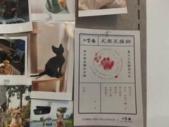 -山宅一喵德文卷毛猫舍