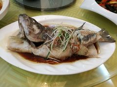 -福禄财东北菜(珠江帝景店)