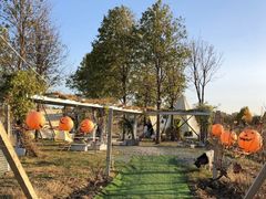 -安德鲁户外烧烤帐篷营地(马泉营店)