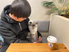 -小意思咖啡店(草桥店)